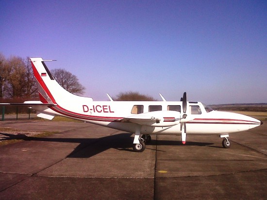D-ICEL.jpg