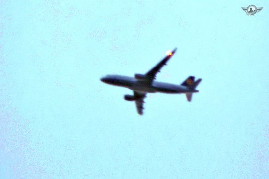 D-AIZY_W.jpg (47.7 KiB) 6774 mal betrachtet D-AIZY_W.jpg