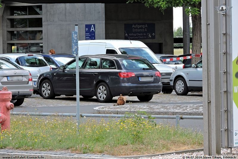 Polizeieinsatz_LEJ-04072016_S-TIkwe_03_Wn.jpg